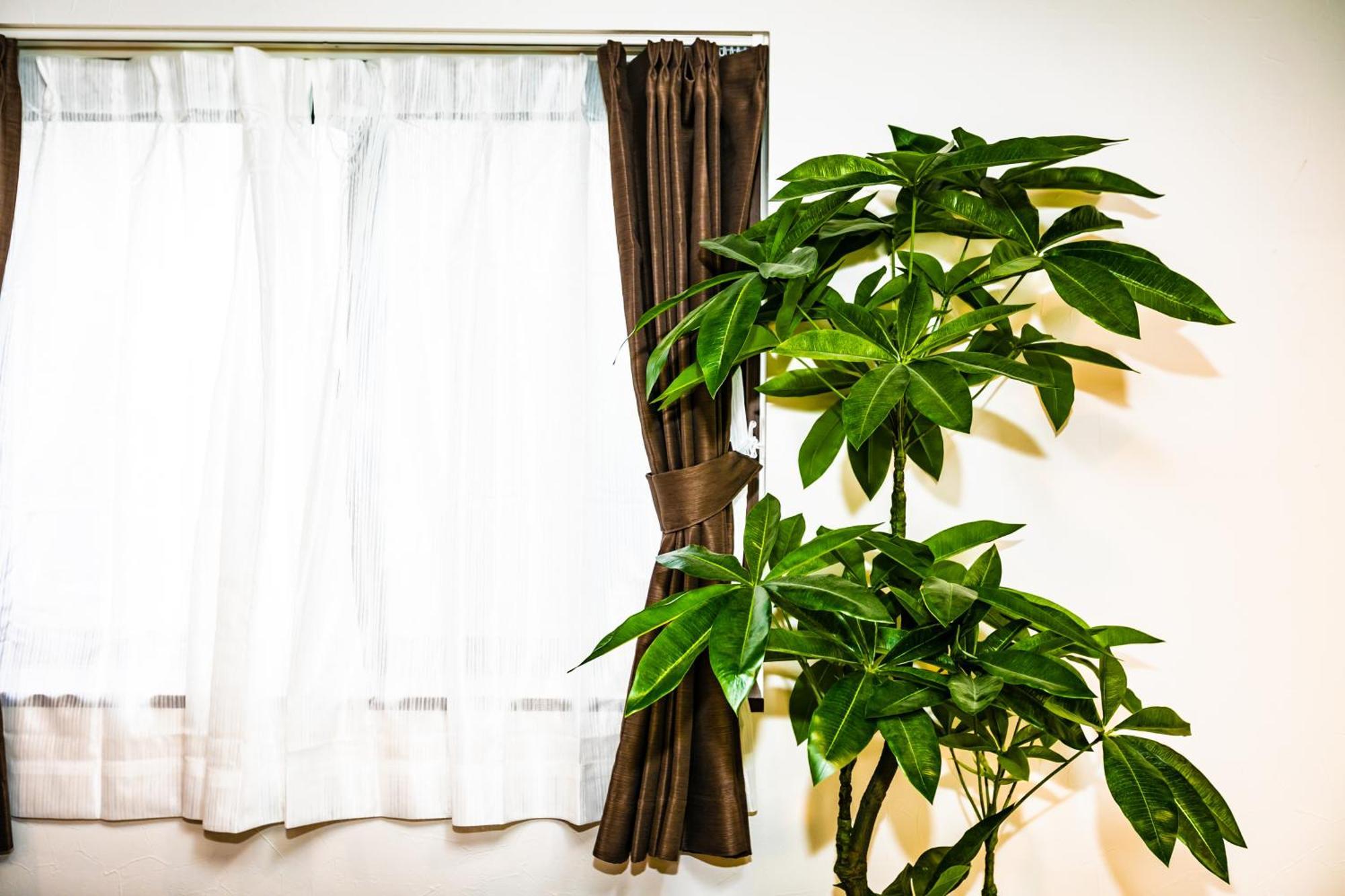 26, Otsuka, Entire House For Rent 東京都